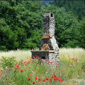 Wildflower Fireplace