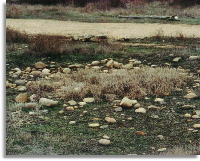 Dry Vernal Pool showing its boulder configuration